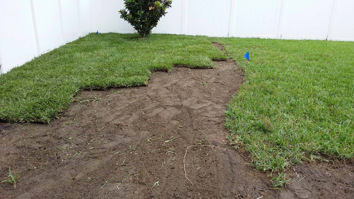 An in-process photo of Daniels Landscape & Irrigation LLC laying down sod