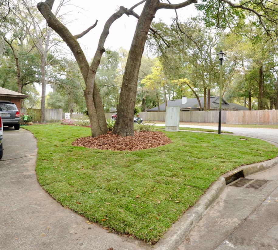 Beautiful landscaping work from Daniels Landscape & Irrigation LLC