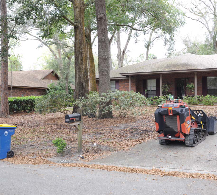 A drab front yard covered in leaf litter