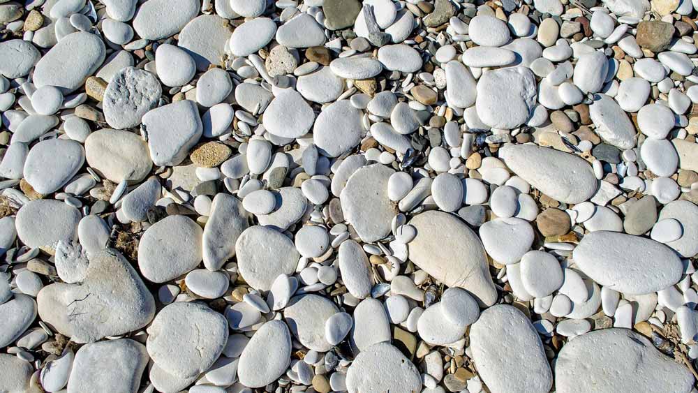 A collection of small grey pebbles