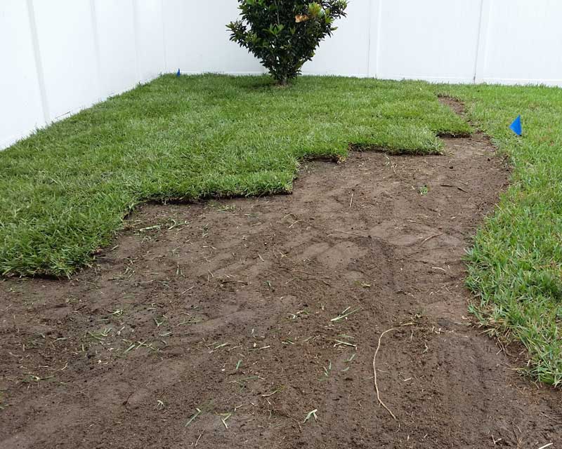 An in-process photo of Daniels Landscape & Irrigation LLC laying down sod